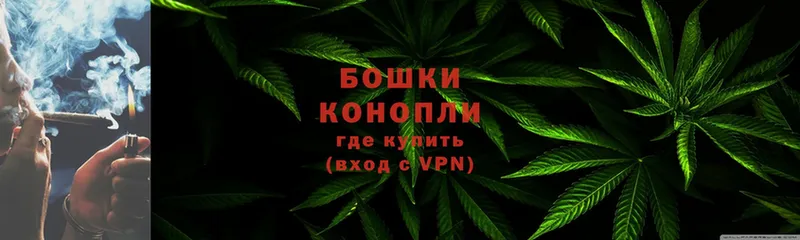 где можно купить наркотик  Городец  Конопля White Widow 